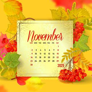 2025 November Calendar