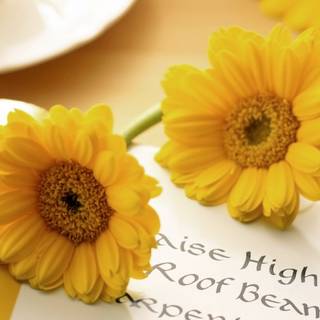 Flori galbene pe tapet drăguț pentru scris