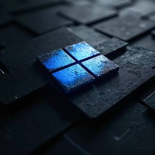 Windows 11 Logo