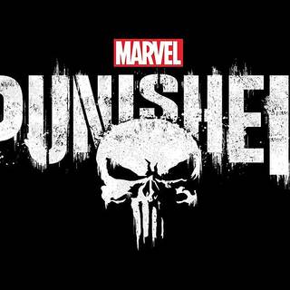 the punisher (marvel)