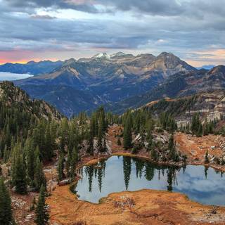 Wall Mural Dead Tree in a Mountain Valley