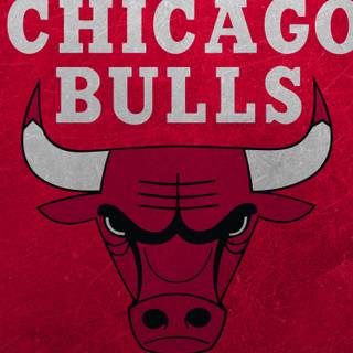 Chicago Bulls