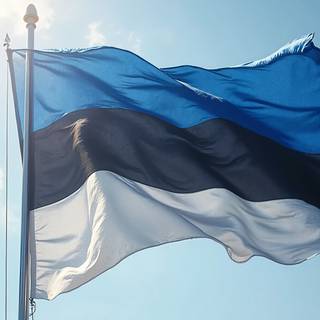 Flag Of Estonia