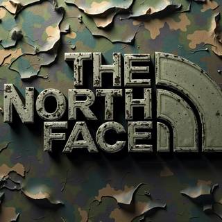 The North Face Logo