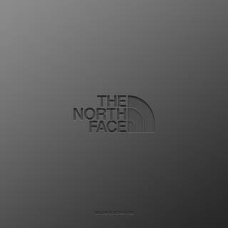 The North Face Logo