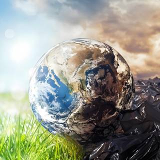 Environmental Pollution