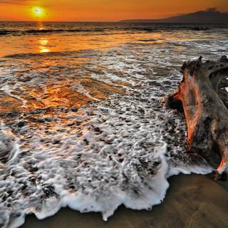 Puerto Vallarta Plaja Mexic