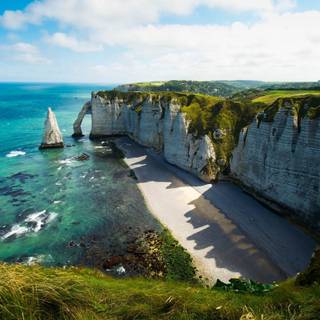 În căutarea nemuririi