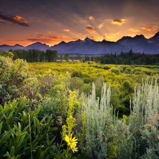 Sunset In Grand Teton National Park