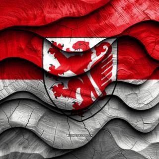 Flag Of Braunschweig