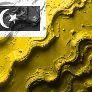 Flag Of Kuala Terengganu District