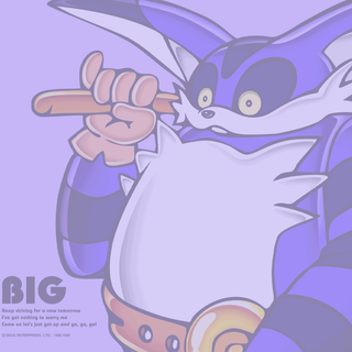 big the cat