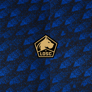 LOSC Lille