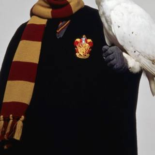 Harry Potter HD Mobile Wallpaper 