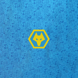 Wolverhampton Wanderers F.C.