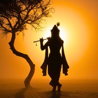 Krishna 
