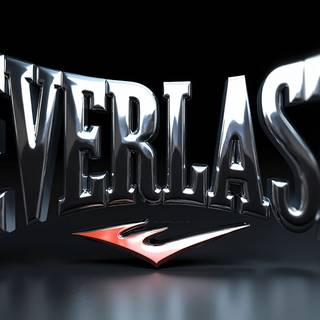 Everlast Logo