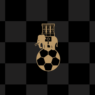 Coventry City Football Club