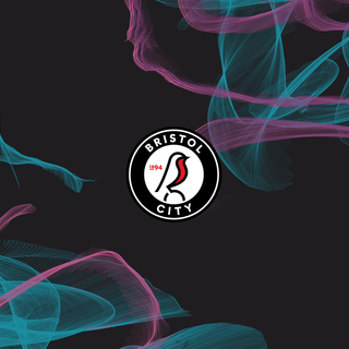 Bristol City F.C.