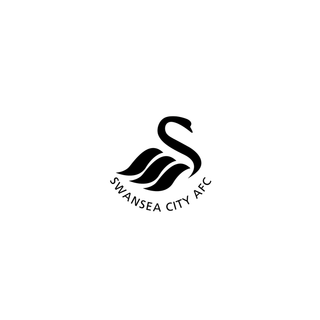 Swansea City A.F.C.