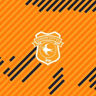 Cardiff City F.C.