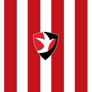 Cheltenham Town F.C.