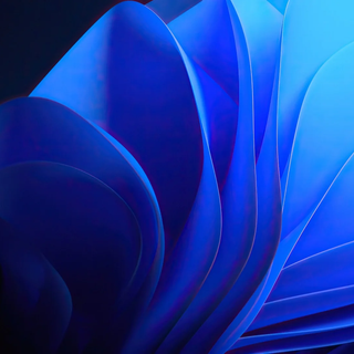 Deep Blue Flow / Digital Ruffles / Midnight Bloom Abstract / Windows Dark Blue
