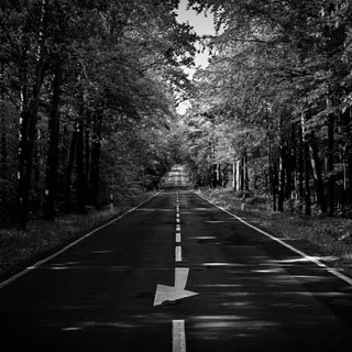 Straight Road Through The Woods