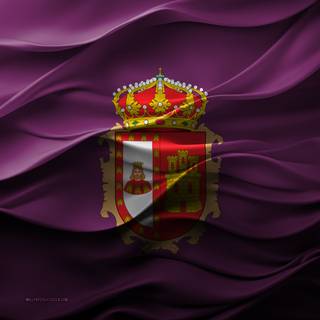 Flag Of Burgos