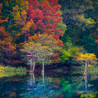 Amazing Autumn Scenery