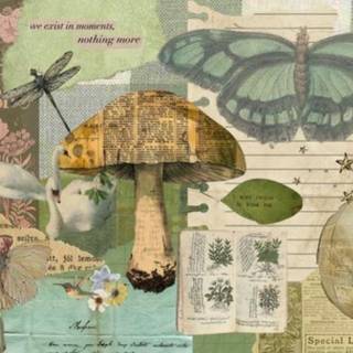 cute green maximalist wallpaper