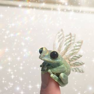 fairy frog