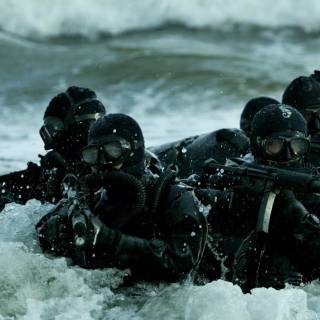 Navy seals