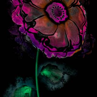 OnePlus 13 Wallpaper Floraison Nocturne No.02