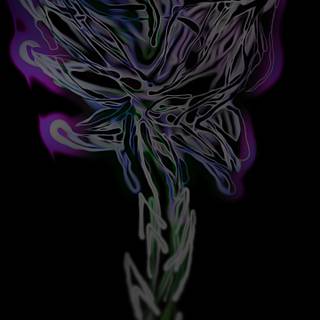 OnePlus 13 Wallpaper Floraison Nocturne No.01