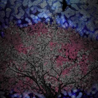 Samsung S25 Ultra Wallpaper Behind the Curtain