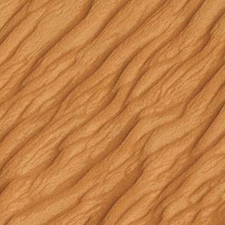 Golden Sand Texture