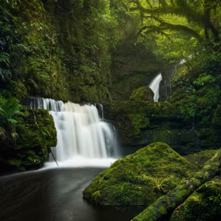Green Forest Waterfall