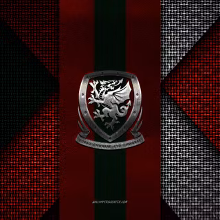 Wales National Football Team Logo