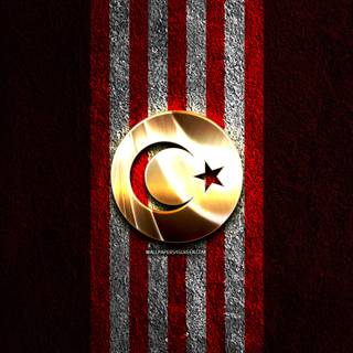 Turkey National Football Team Logo