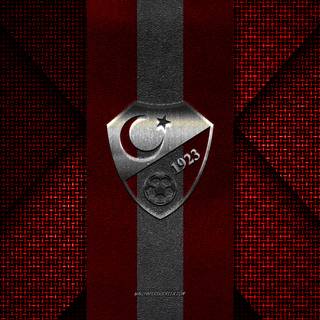 Turkey National Football Team Logo
