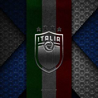 Italy National Football Team Logo