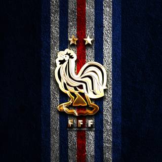 France National Football Team Logo
