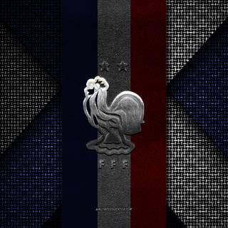 France National Football Team Logo