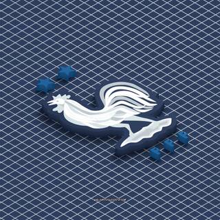 France National Football Team Logo