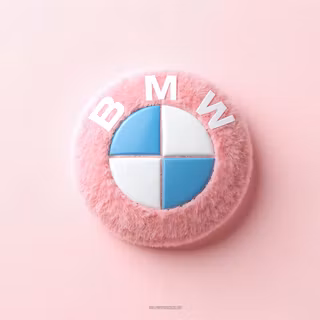 BMW Logo