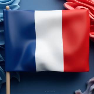 Flag Of France