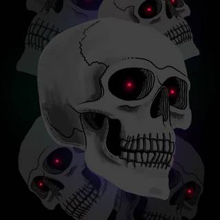 Skull 