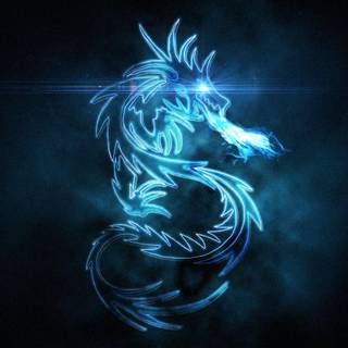 MSI dragon