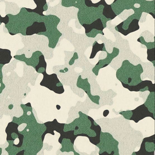 Camouflage 